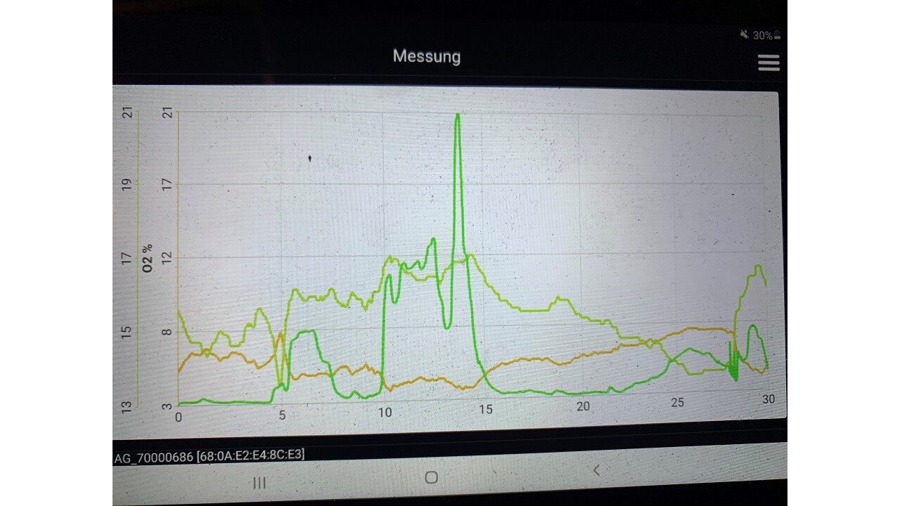 Graphische Darstellung einer Holzfeuerung während 30 Minuten